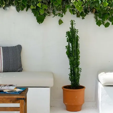 Hotel Akti Kavala PalaiónTsiflíkion