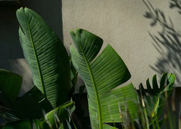 Akti Kavala 酒店 PalaiónTsiflíkion