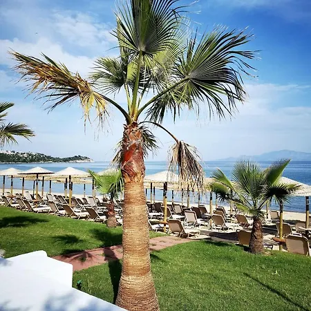 فندق Akti Kavala 3*