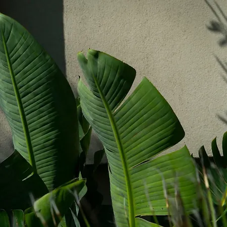 Akti Kavala Hotel PalaiónTsiflíkion